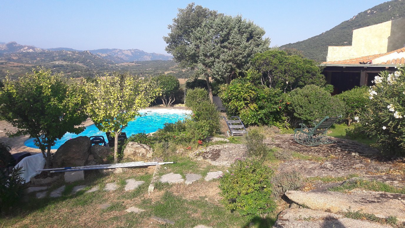 Angelo & Arcangela-官方