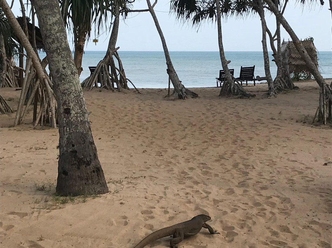 卡巴纳斯森吉斯滨海酒店主图