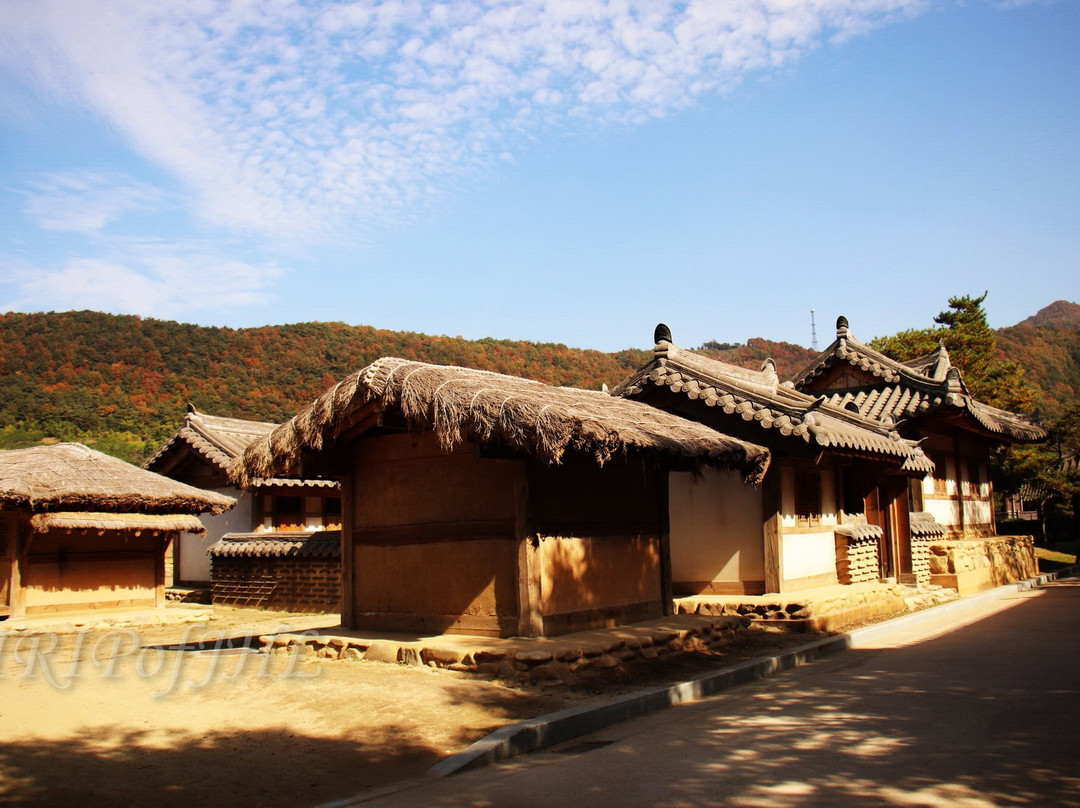 Ondal Gwangwangji景点图片