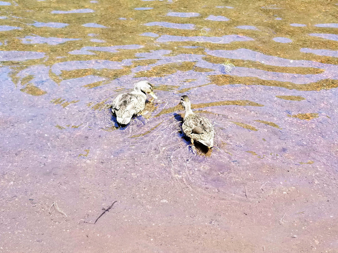 Clear Lake-Sisters必去景点