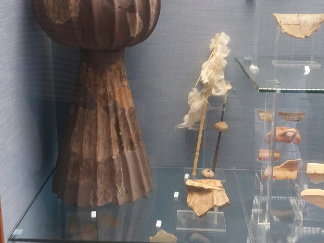 Museo archeologico Salvatore Lauricella景点图片