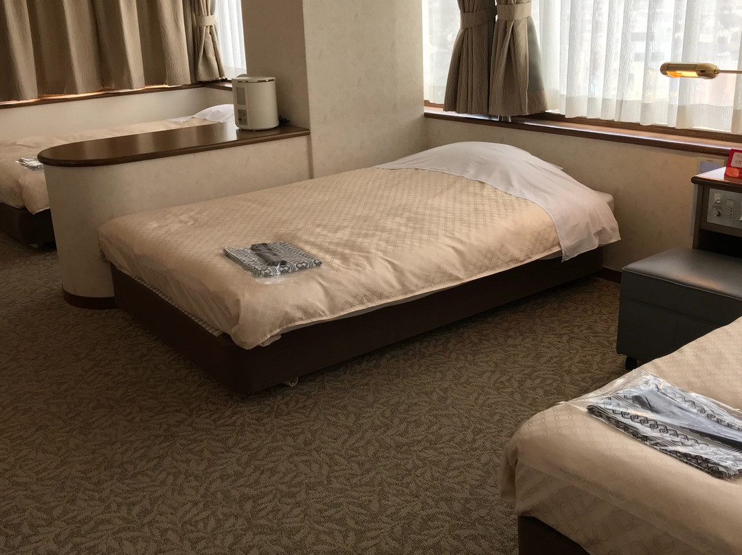 Hotel Hakusan主图