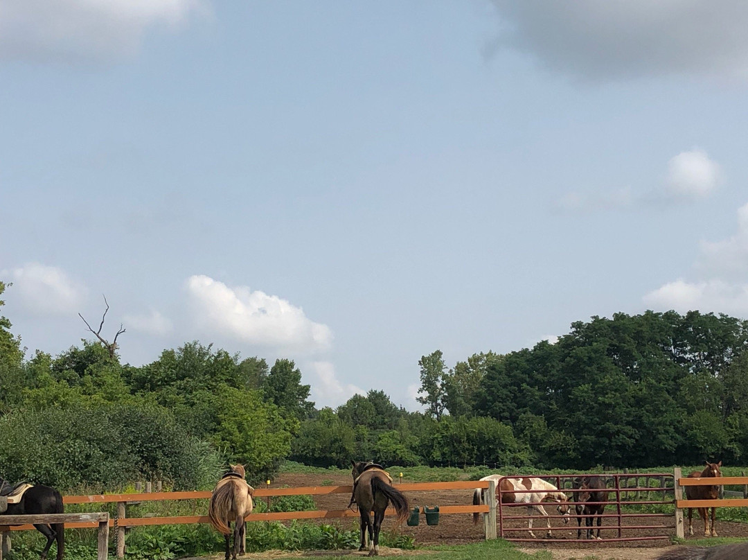 Maybury Riding Stable-诺斯维尔必去景点