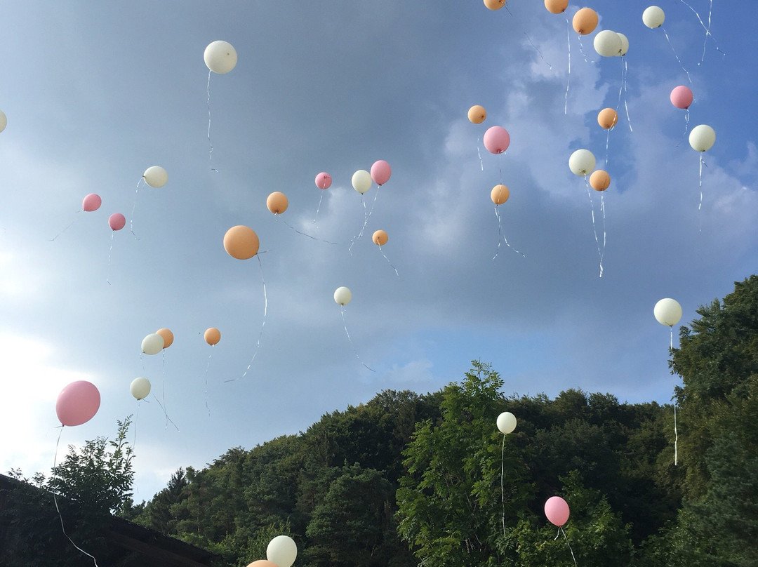 Geisenfeld餐馆和美食-Landgasthof Rockermeier