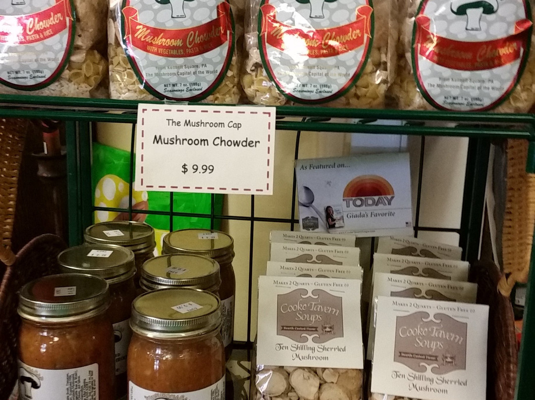 The Mushroom Cap-肯尼特斯奎尔必去景点