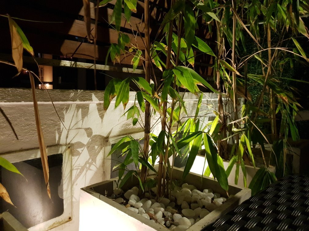 Mansion Square主图