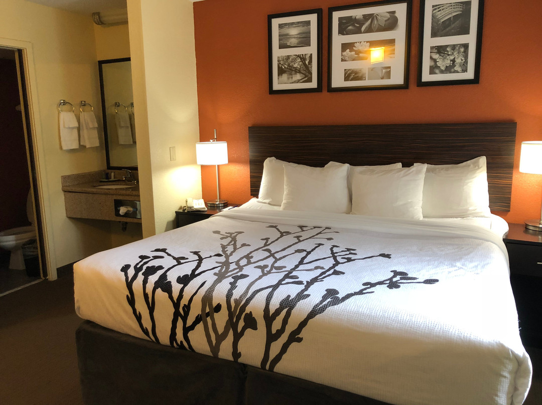 Sleep Inn Sarasota主图