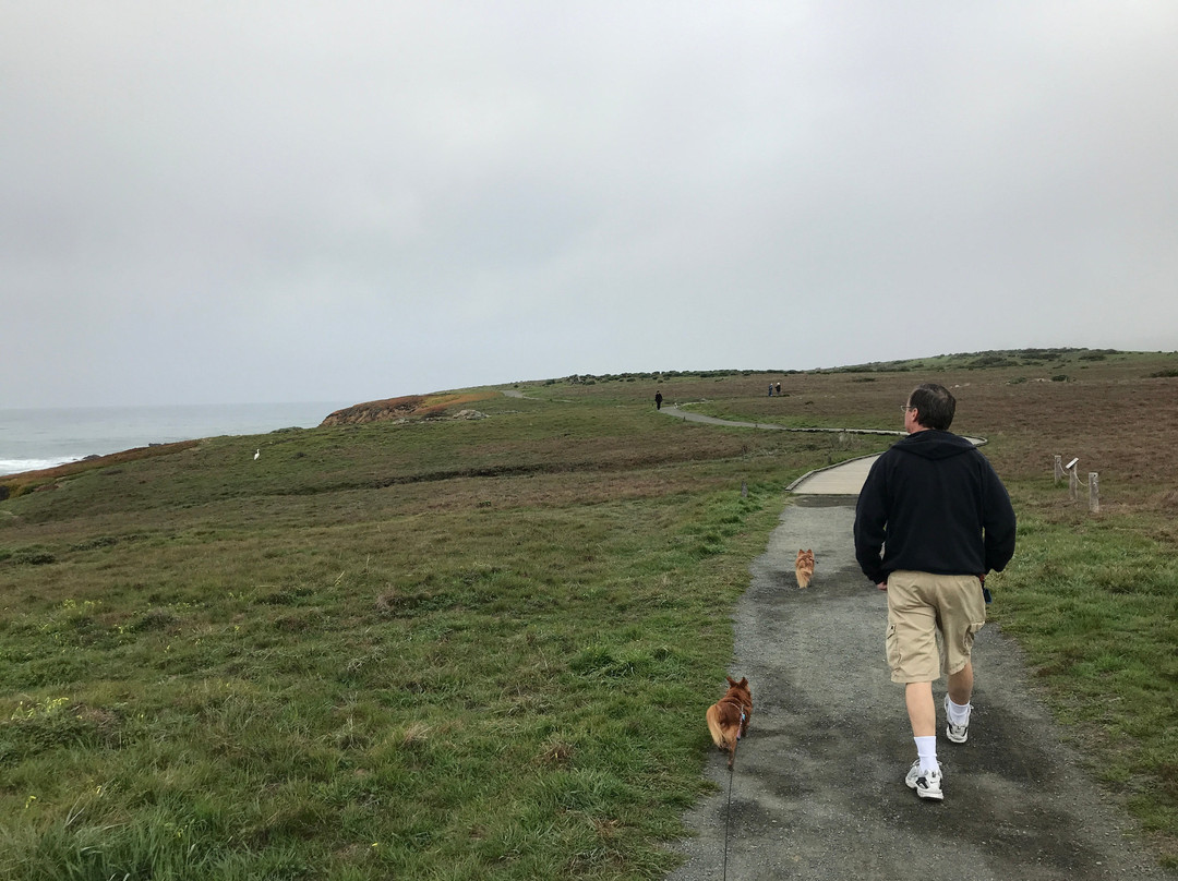 Marine Terrace Trail-坎布里亚必去景点