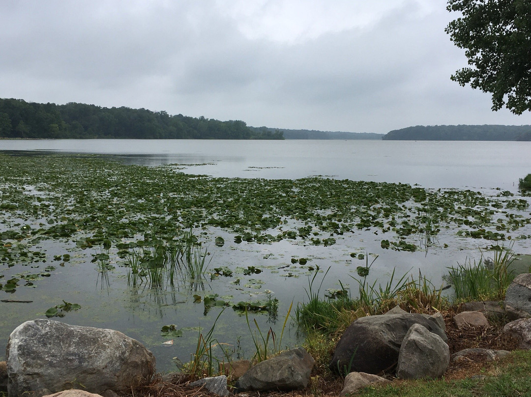 Kiser Lake State Park-Conover必去景点