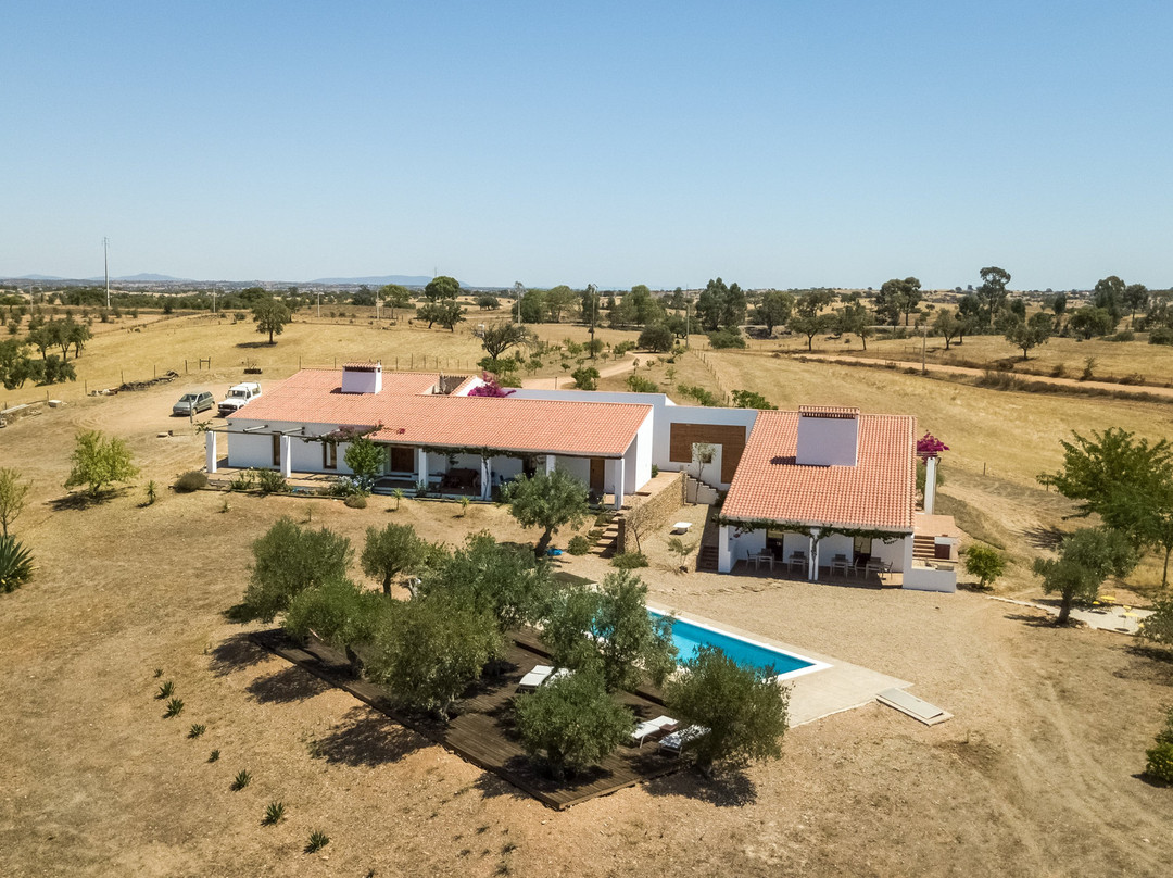 Cantar do Grilo主图