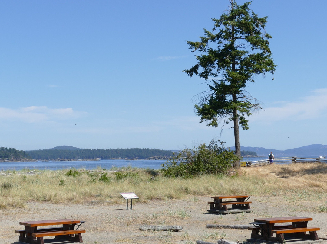 Sidney Spit Marine Park景点图片
