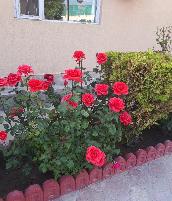 The Baron - Kabul主图