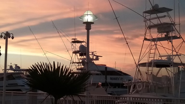 宫殿娱乐场度假村-泳池