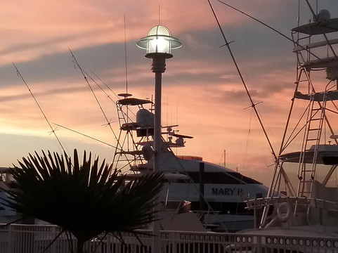 宫殿娱乐场度假村主图