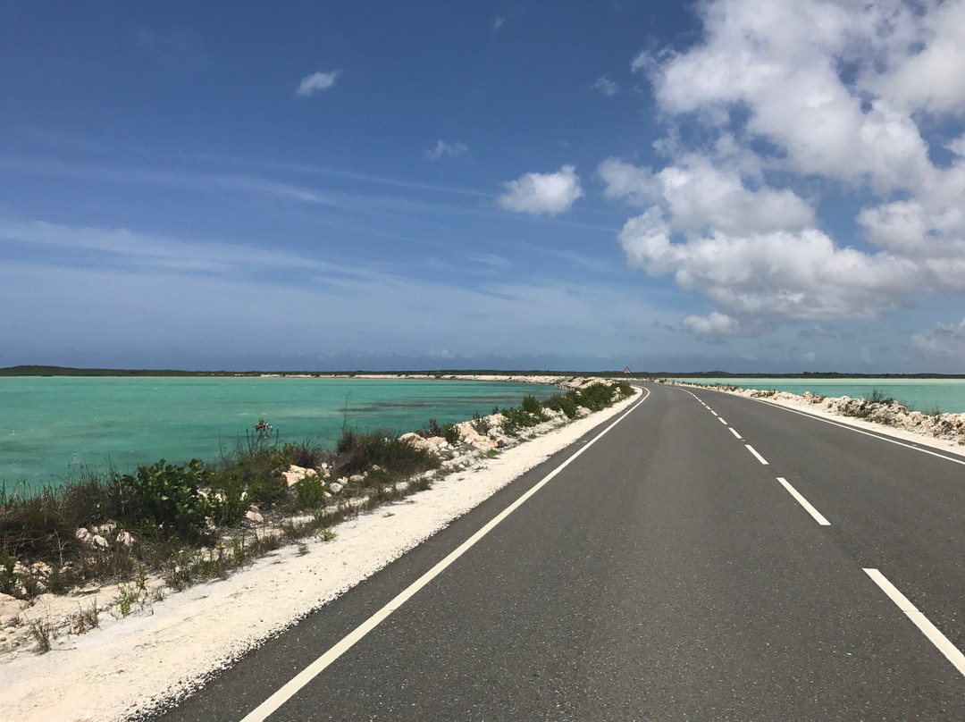 Indigenous Tours and Rentals-Kew必去景点