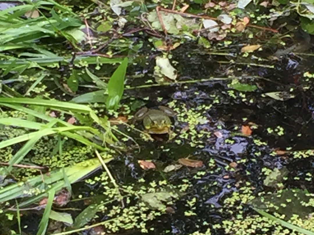 Audubon Center-格林尼治必去景点