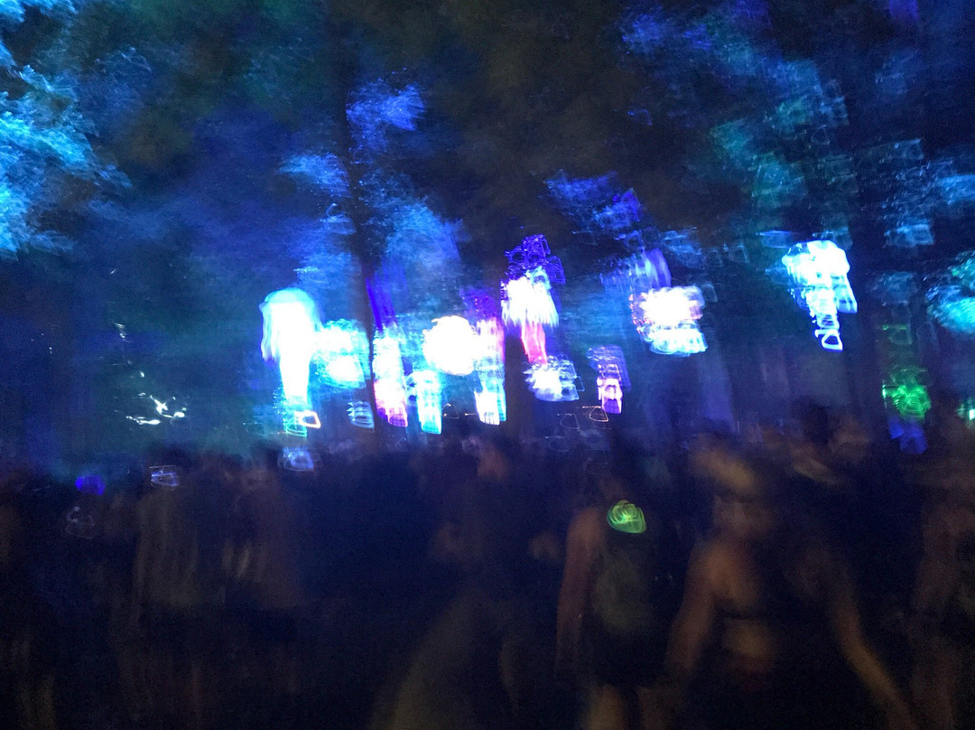 Firefly Music Festival-多佛必去景点