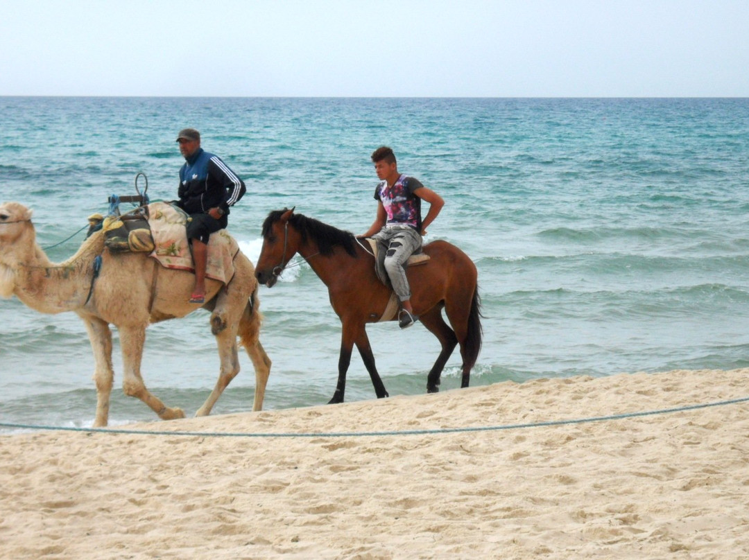 Caribbean World Hammamet Garden主图