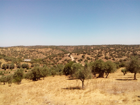 Corktour-Estremoz必去景点