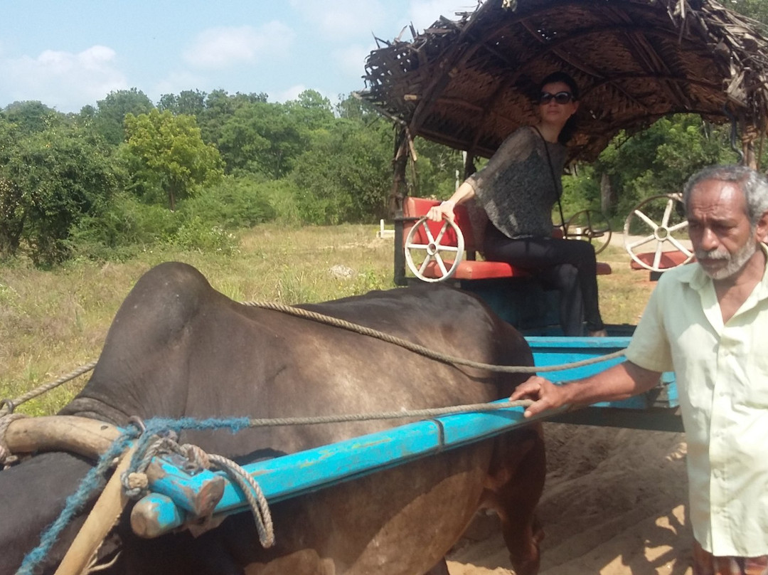 Negombo Ma Boutique Residence主图