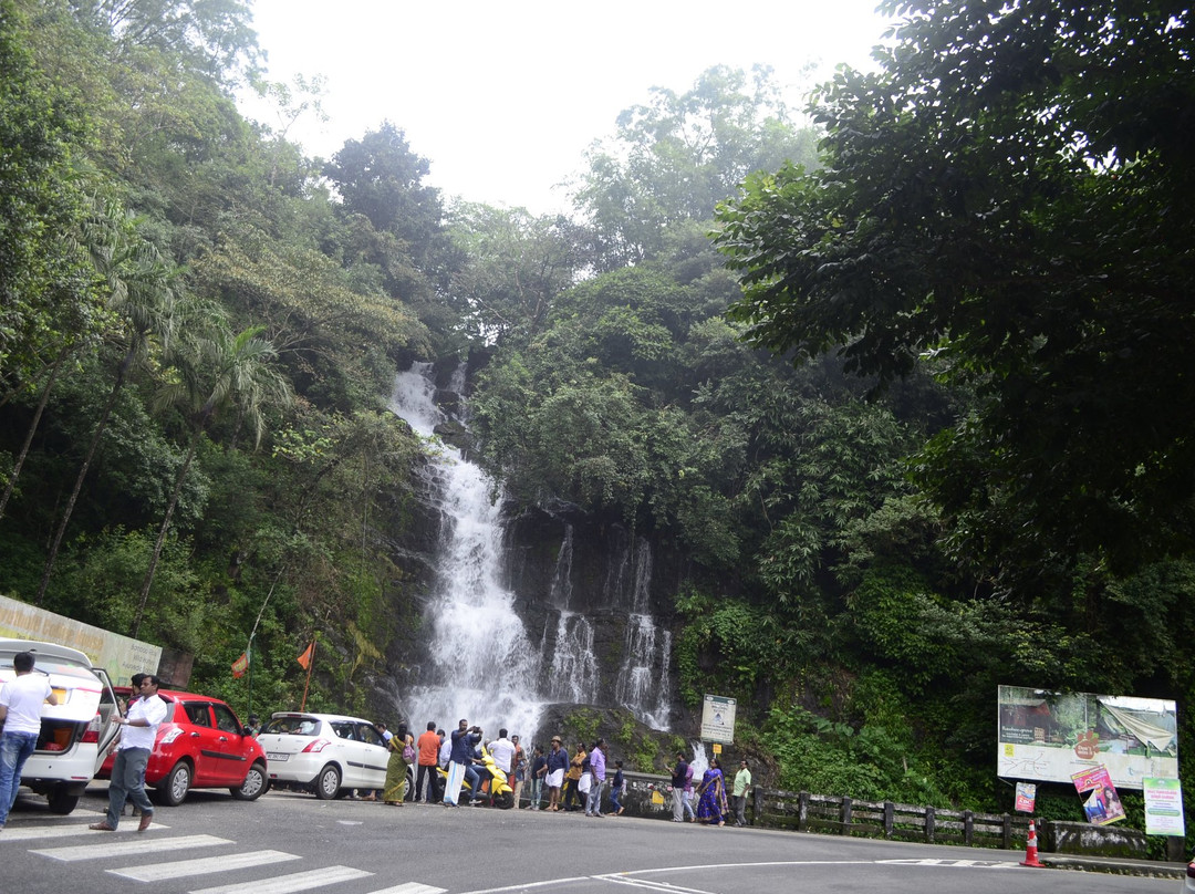 Valanjamkanam Water Falls景点图片