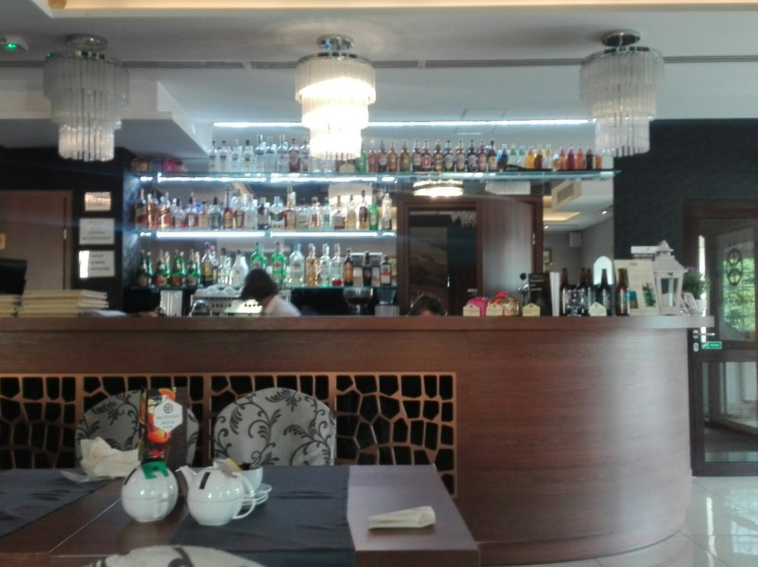 Miodowy Mlyn Hotel主图