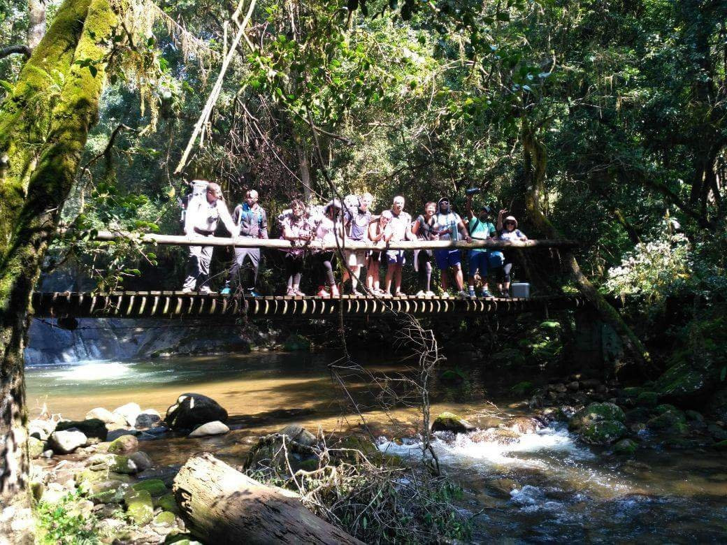 Magoebaskloof Hiking Trail-参宁必去景点
