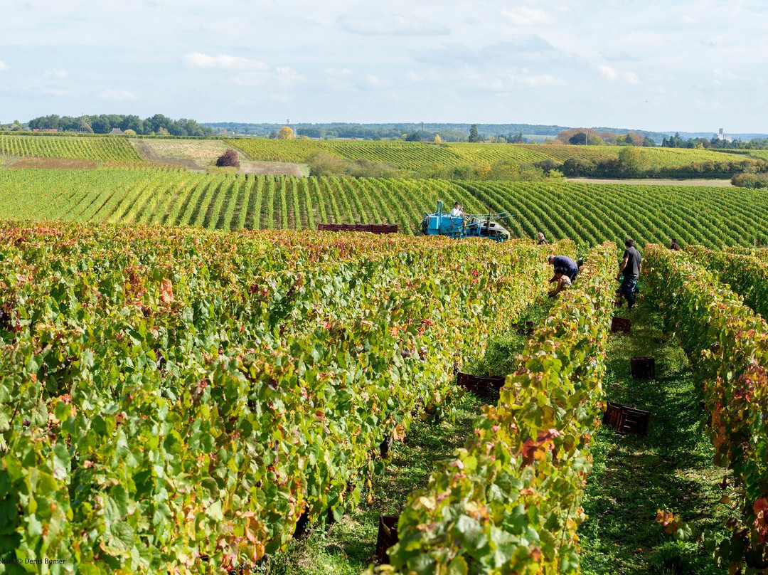 Domaine Sauvète景点图片