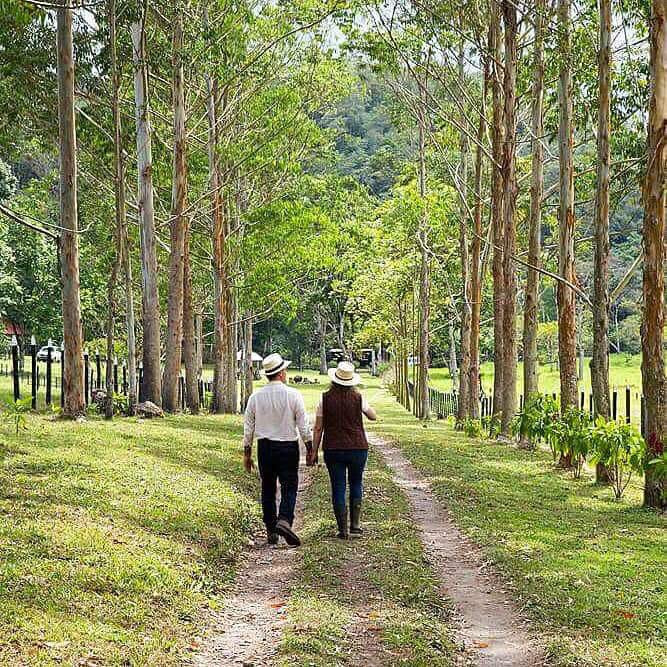 Finca Ceriana Nature Reserve景点图片