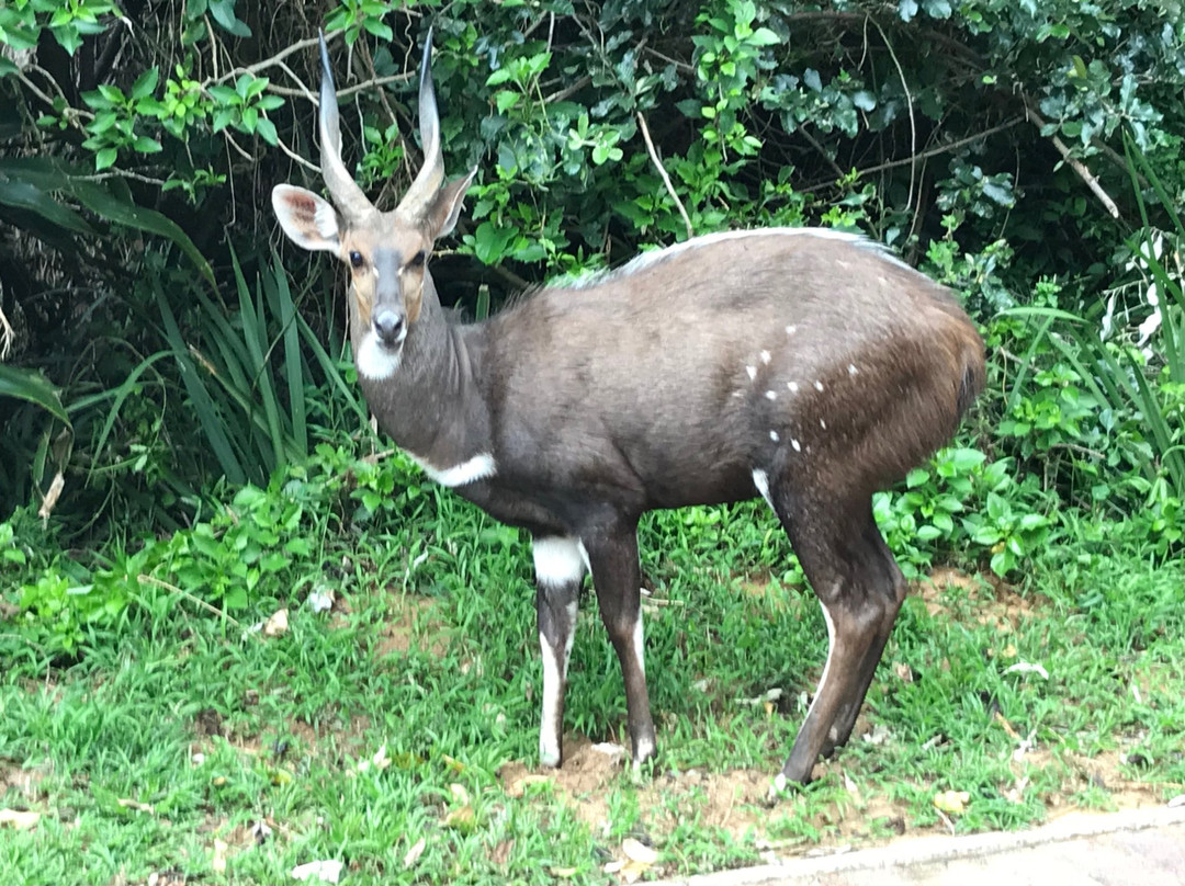 Desert Ace Tours & Charters-斯瓦科普蒙德必去景点