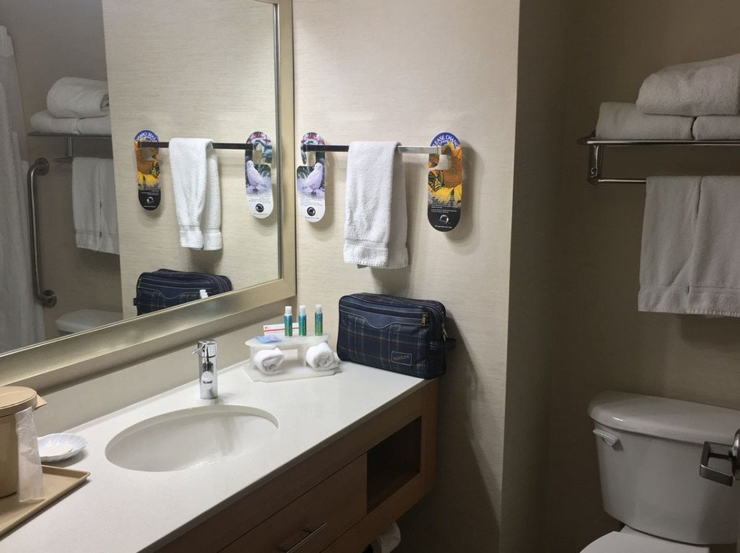 亨德森智选假日酒店主图