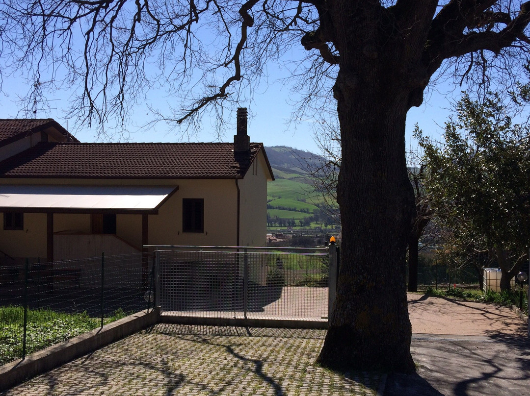 B&B Il Grande Albero