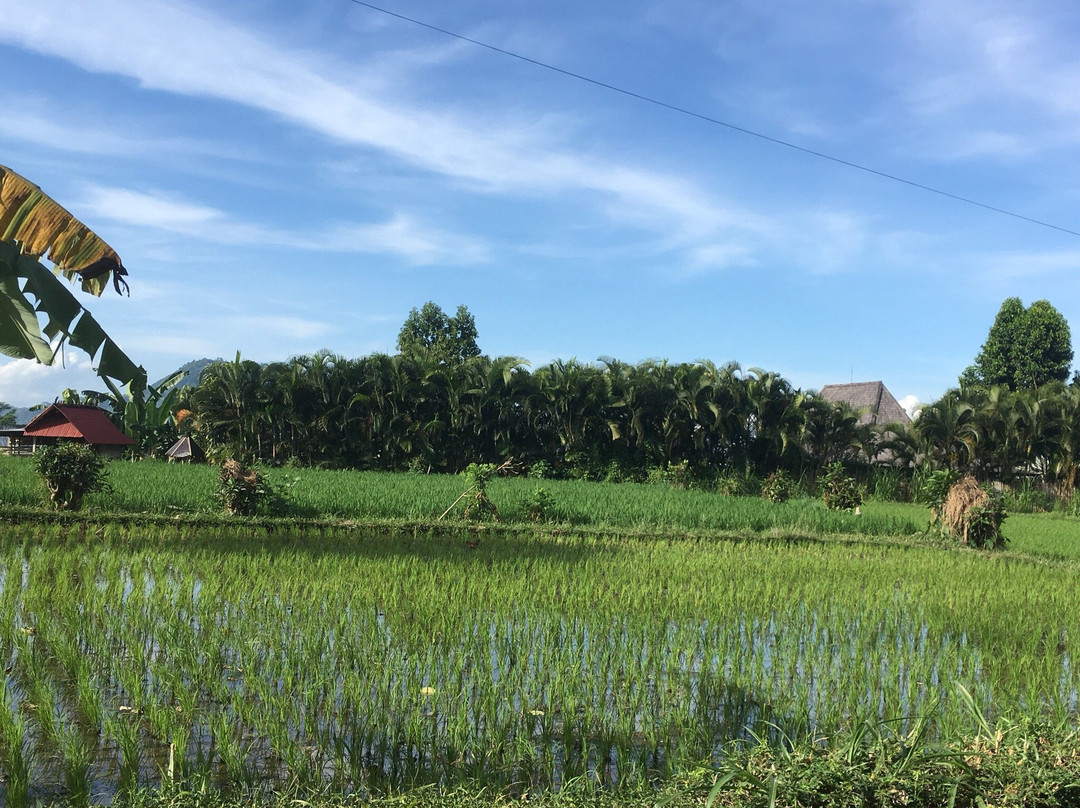 Kanda Homestay主图