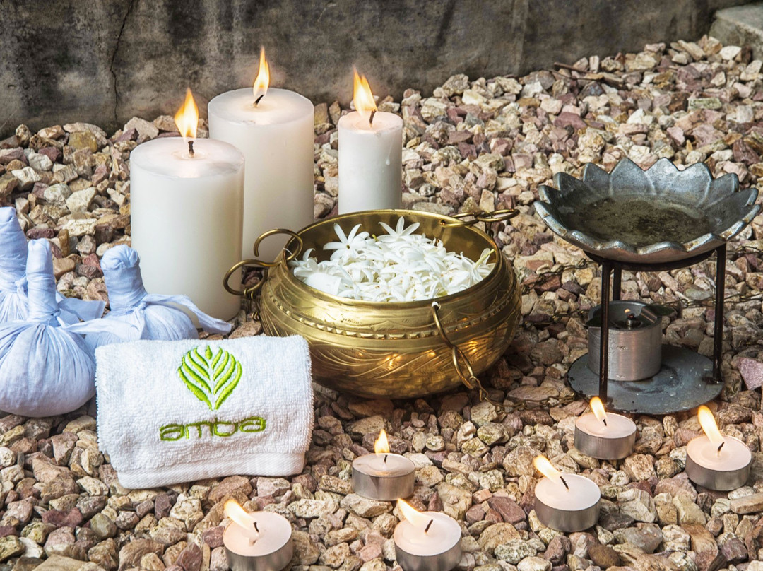 Amba Ayurveda Hotel主图