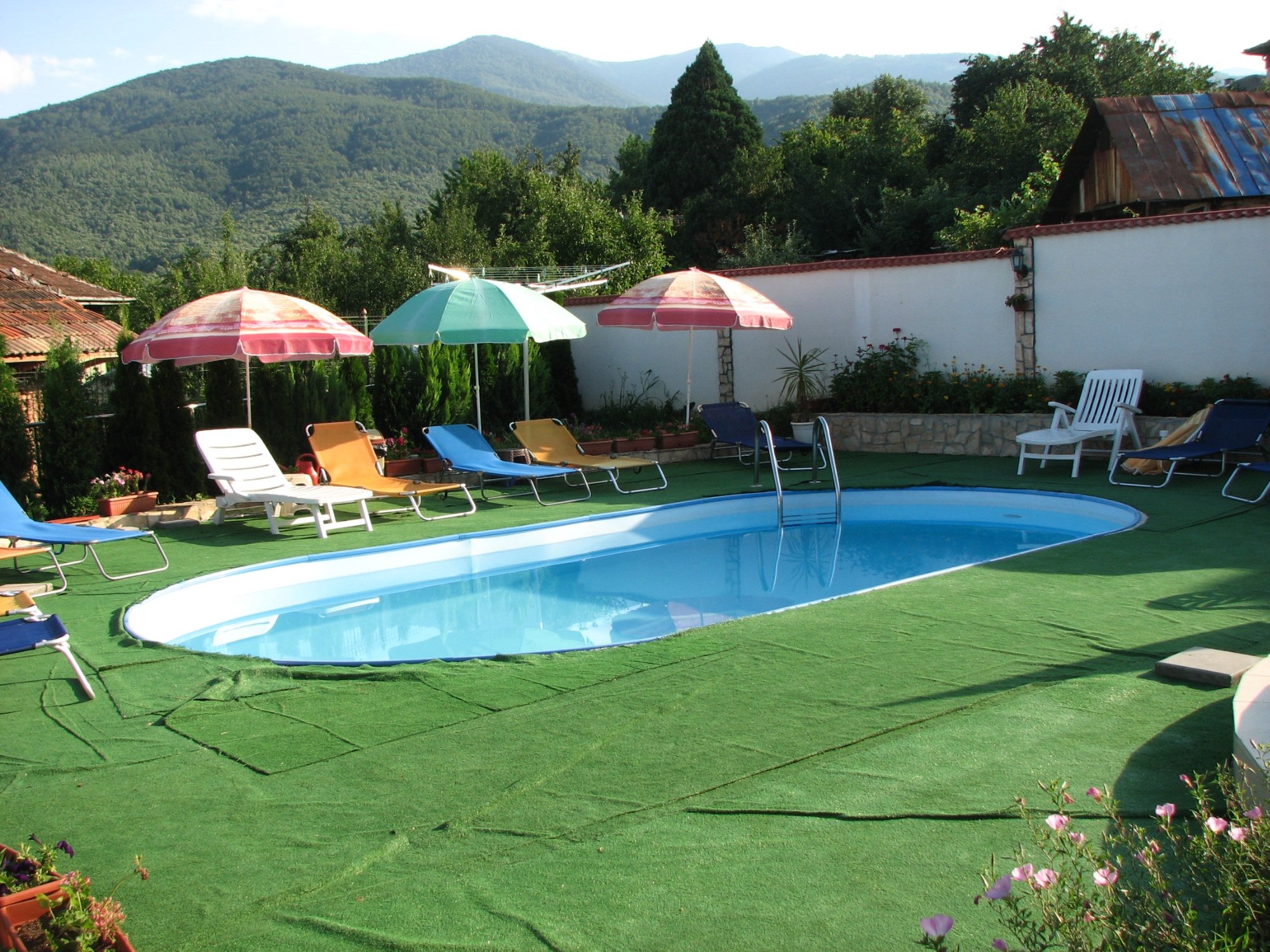 Family Hotel Camellia-官方