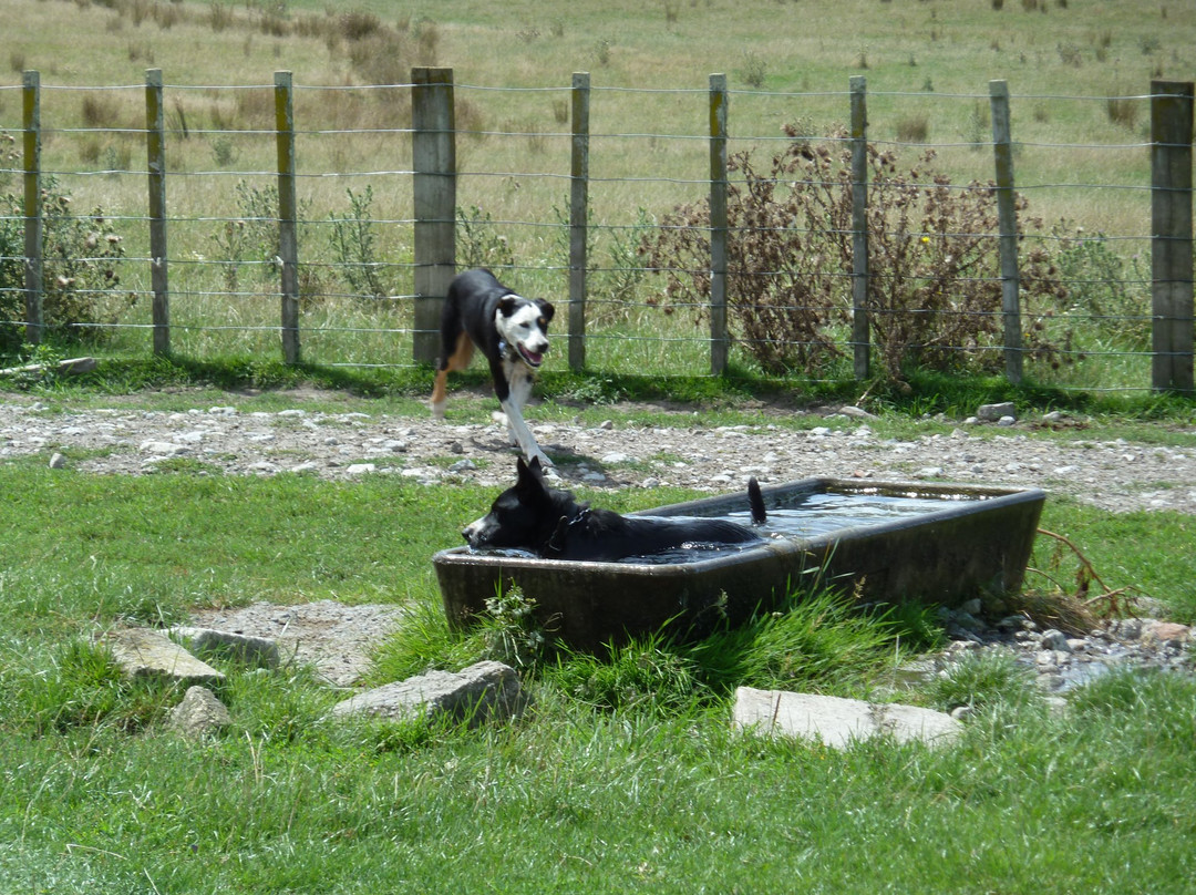 Station Life In Rural New Zealand景点图片