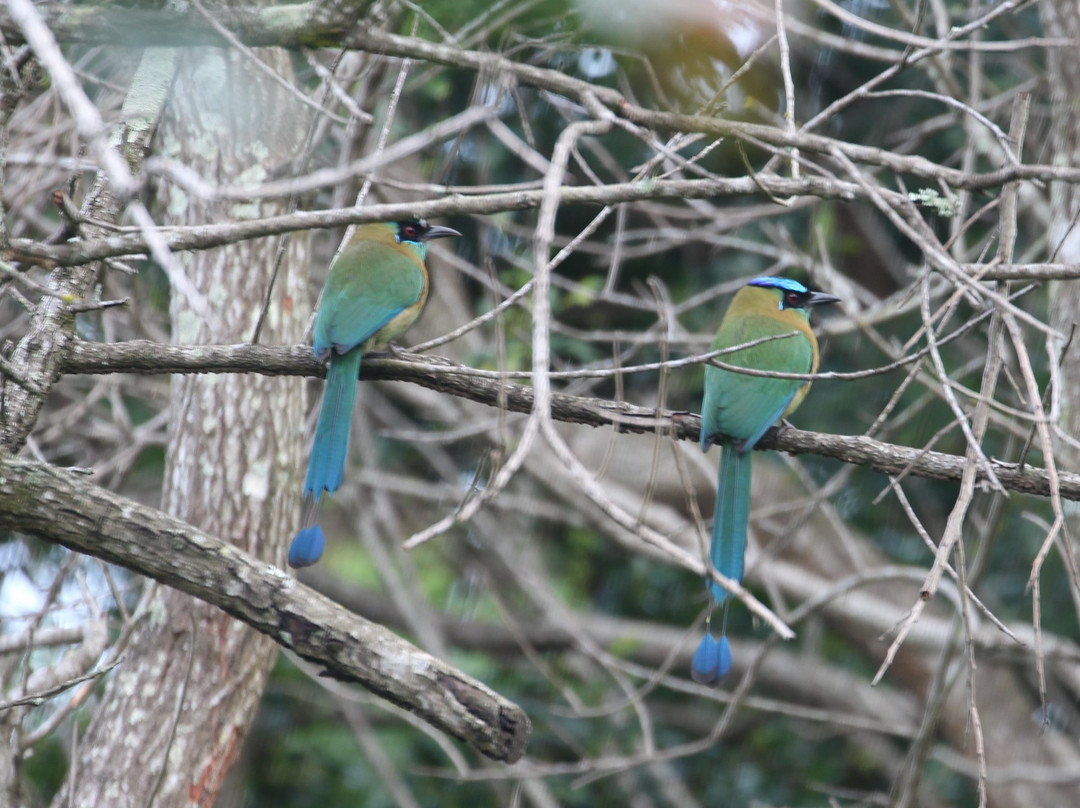 Hotel Bougainvillea主图