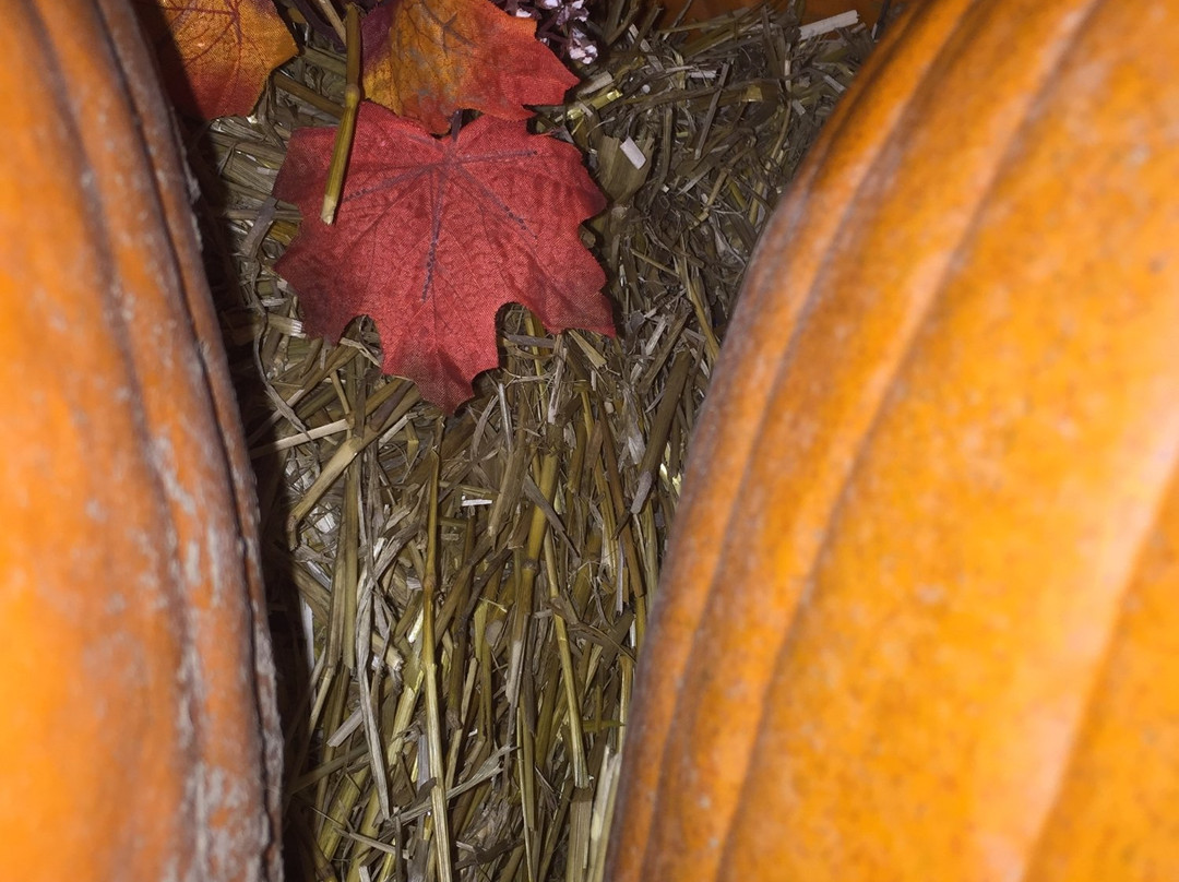 Gammondale Farm-Slate River Valley必去景点