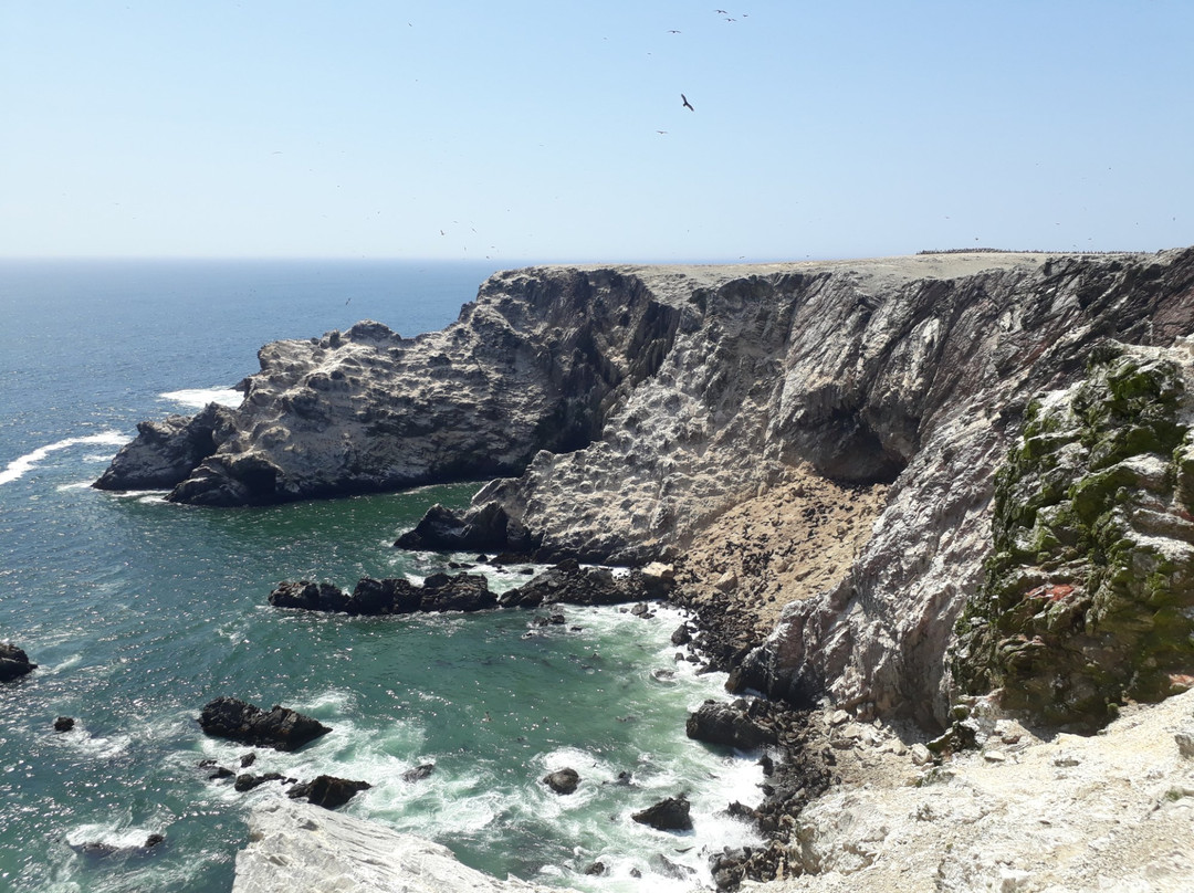 Isla Foca-Piura必去景点