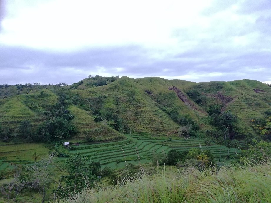Sea of Clouds-达瑙市必去景点