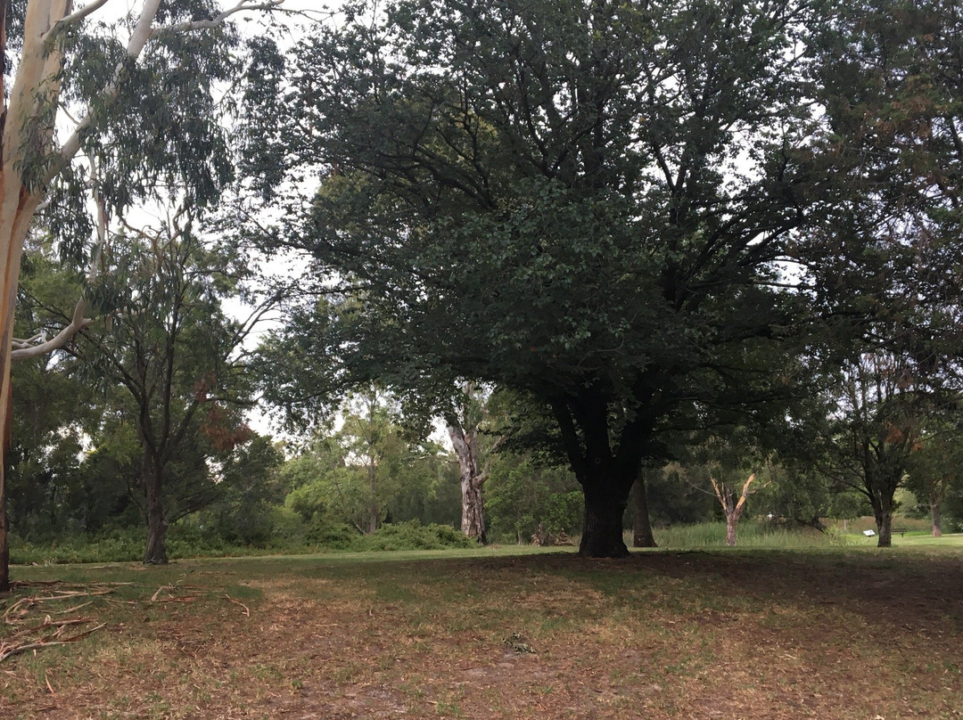 Basterfield Park景点图片