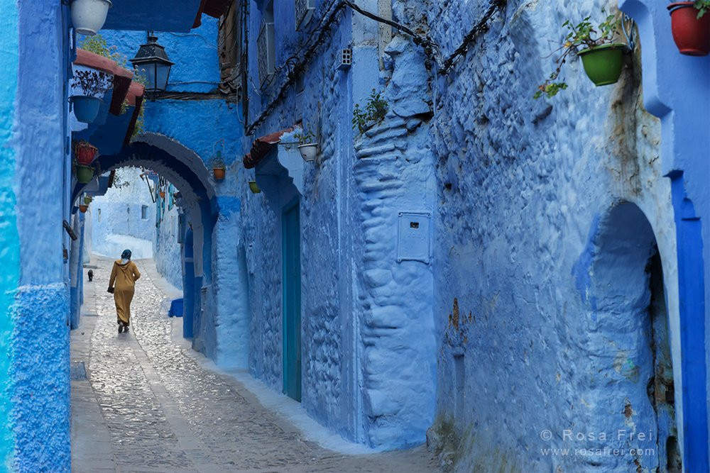 Rosa Frei Morocco Photo Tours景点图片
