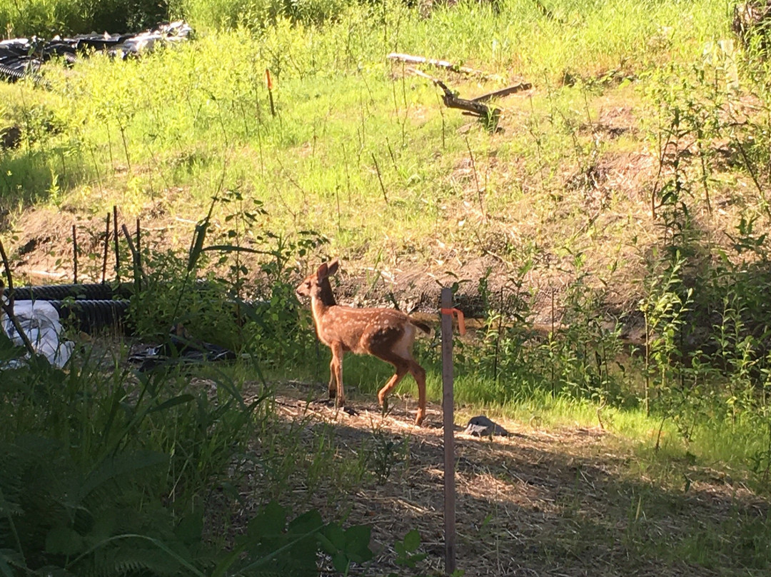 Blyth Park-博塞尔必去景点