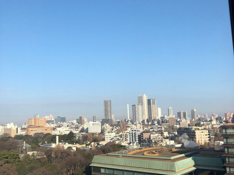 东京椿山庄酒店主图