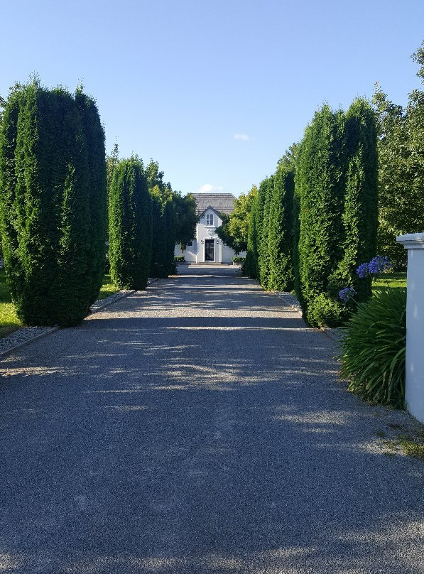 Hillsfield House Bed and Breakfast Marlborough主图