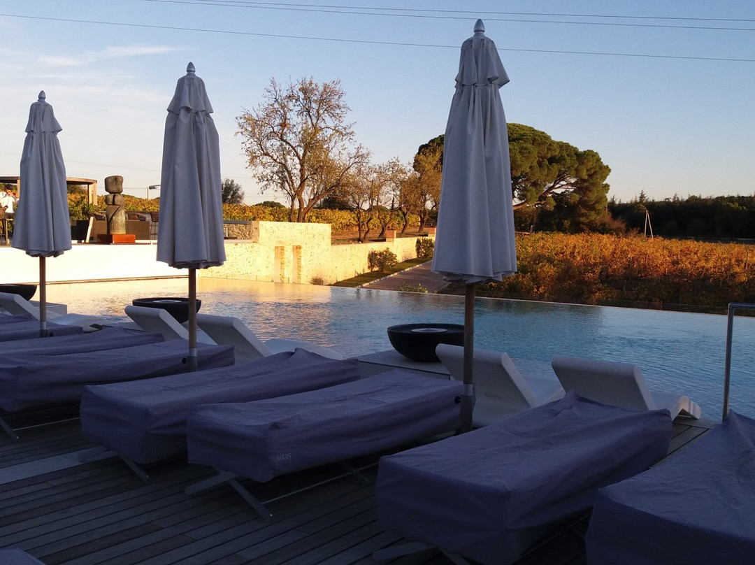 维尚地区酒店主图