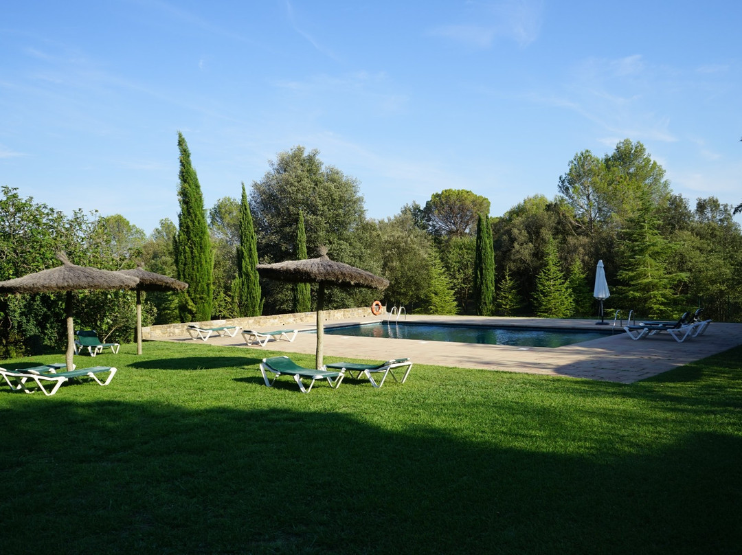 Ayurveda Mas Murtra主图