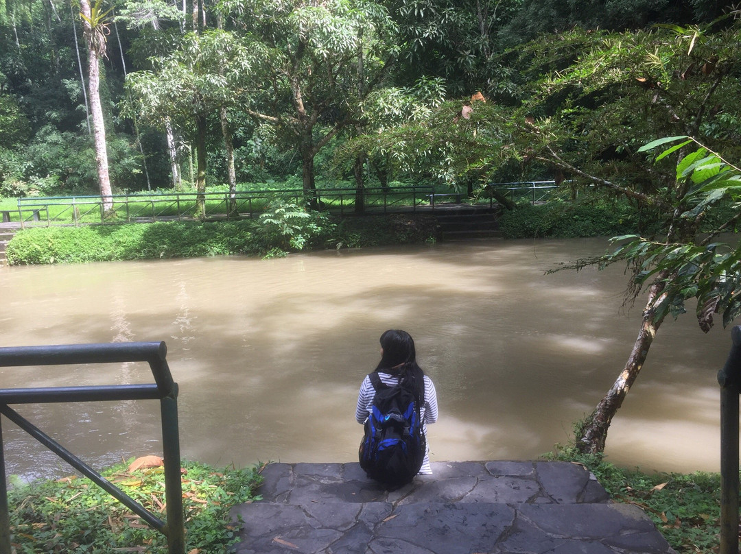 Parque Nacional Tingo Maria-Huanuco必去景点