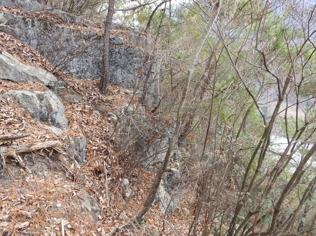Mount Saeki Tenjin景点图片