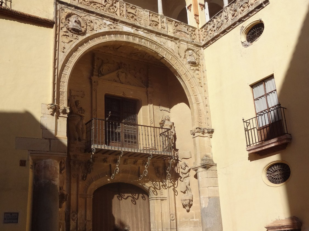 Palacio de Valdehermoso景点图片